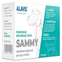 Alavis Sammy 30tbl.